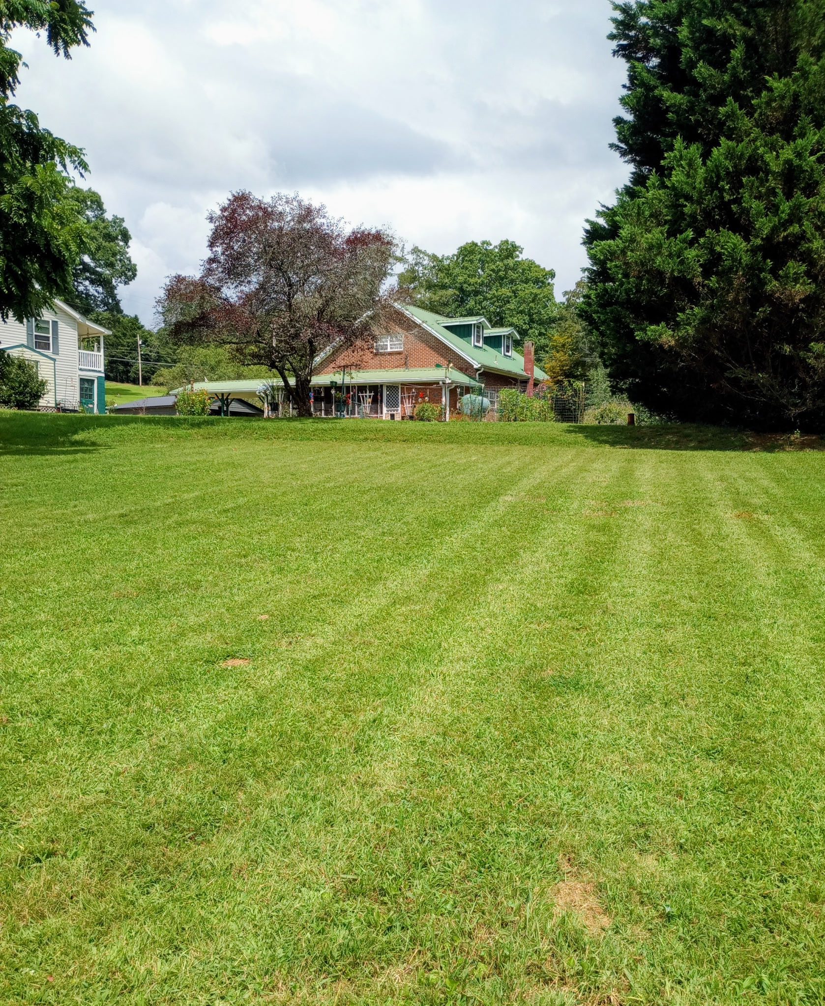A well-maintained grassy lawn with a house and trees in the background.