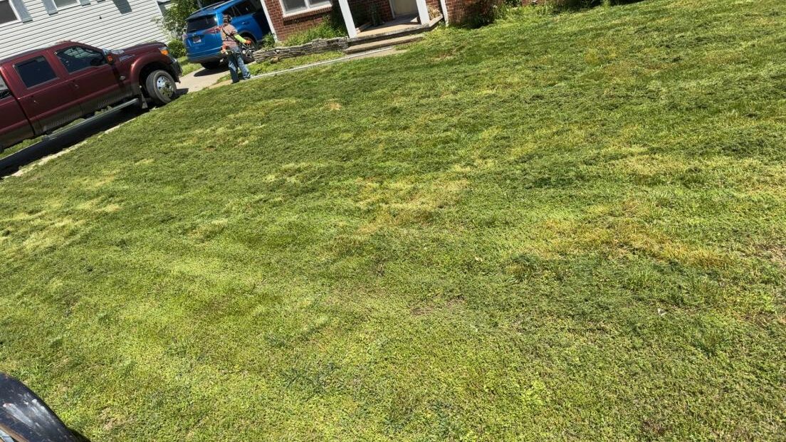 Freshly mowed green lawn with visible grass patterns.