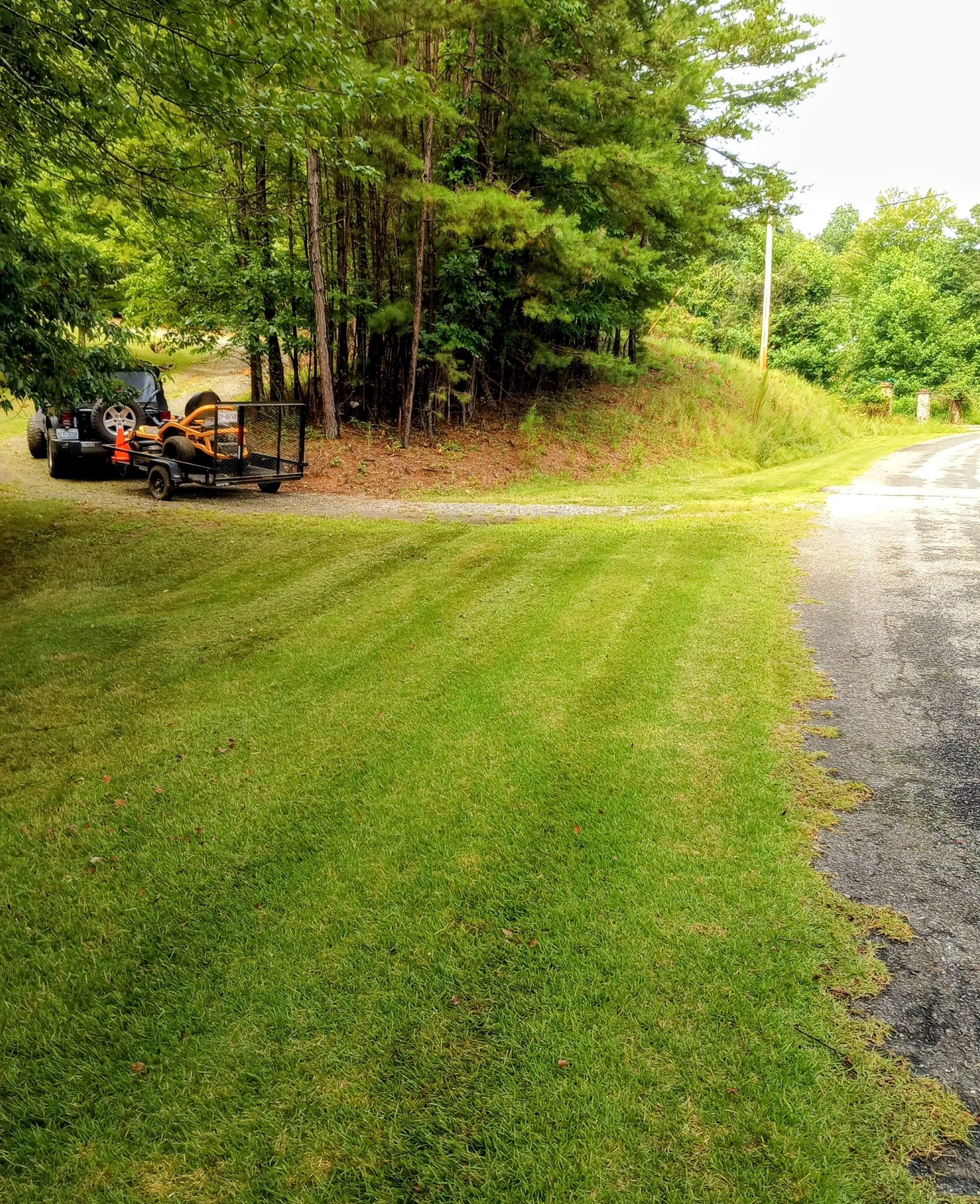 A person mowing a lawn near a wooded area on a sunny day.