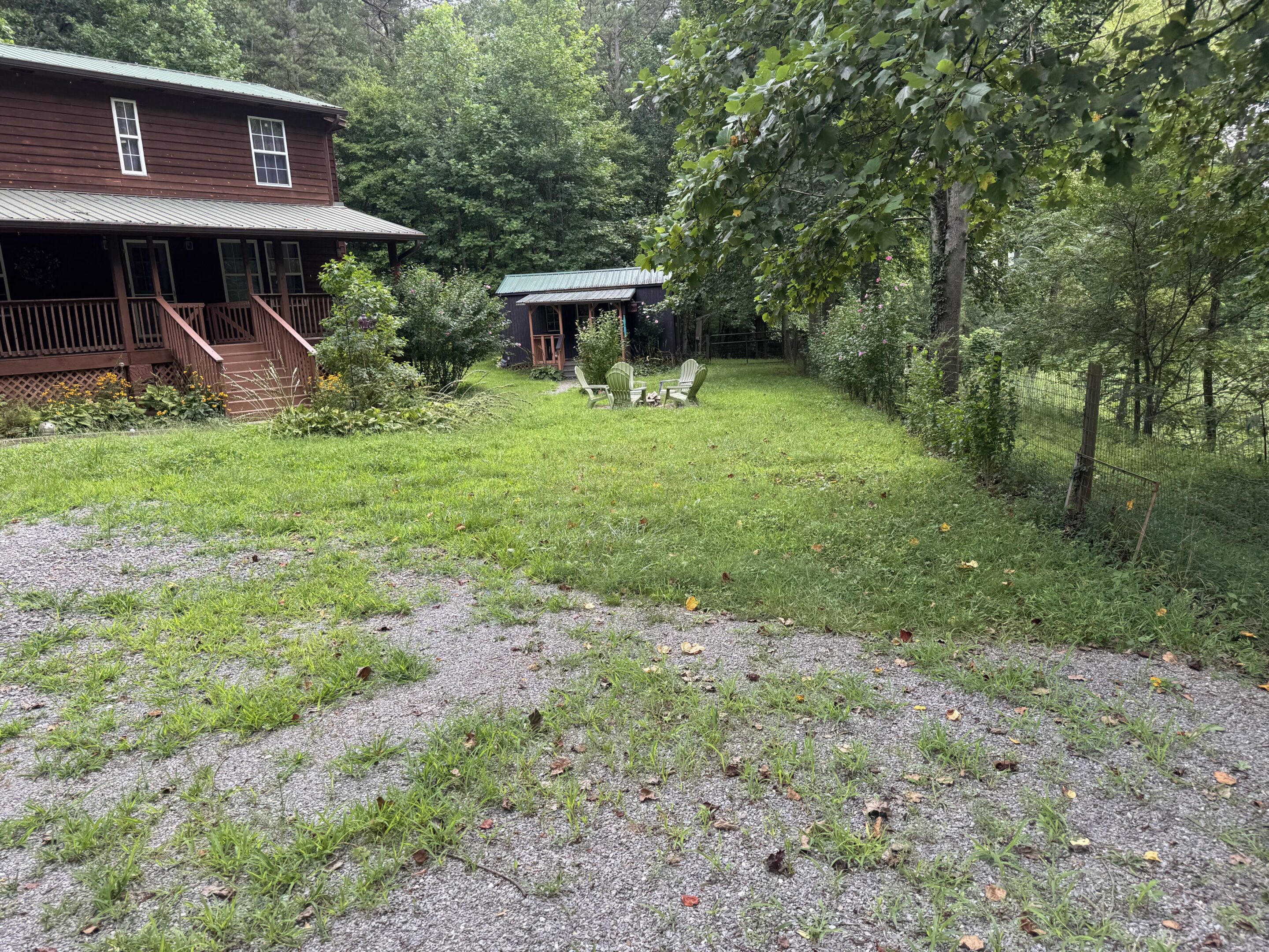 A grassy backyard with a small shed and trees.