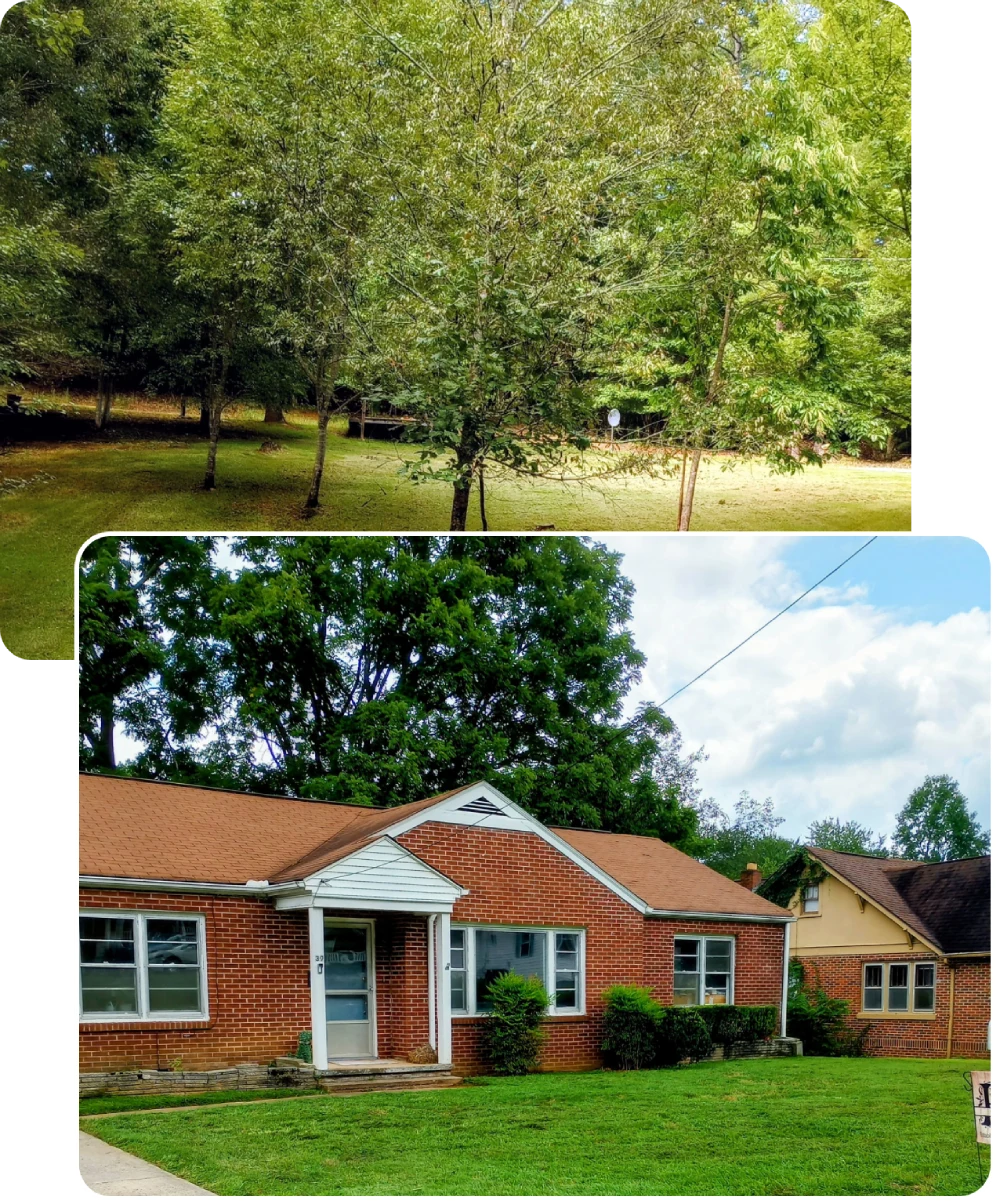 A cozy brick house surrounded by lush green trees and lawn.